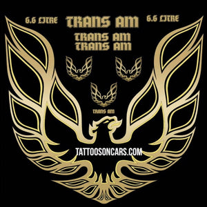 Trans am Phoenix hood and badges decal set