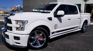Ford F-150 raptor carol shelby limited edition decal racing stripes set.