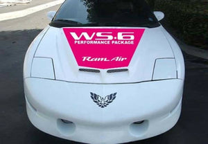 98-up Pontiac  firebird formula ws6 ram air hood ws 6 performance package hood blkout decal kit.